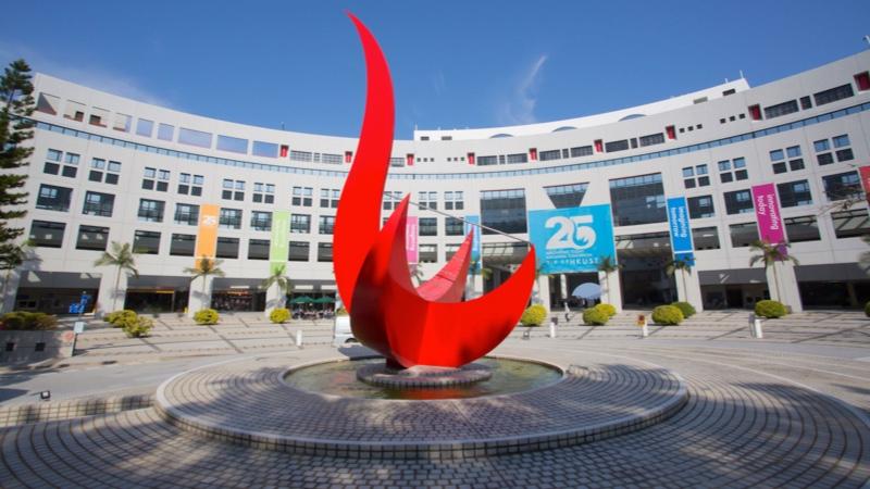 Study Plan And Credit Transfer